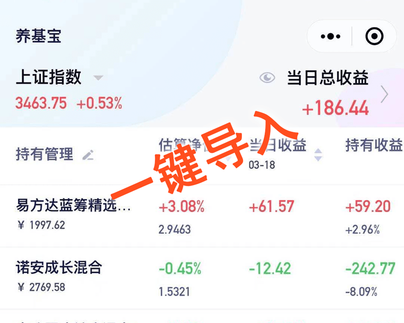 040008基金净值查询今天最新净值：解读基金净值波动与投资策略