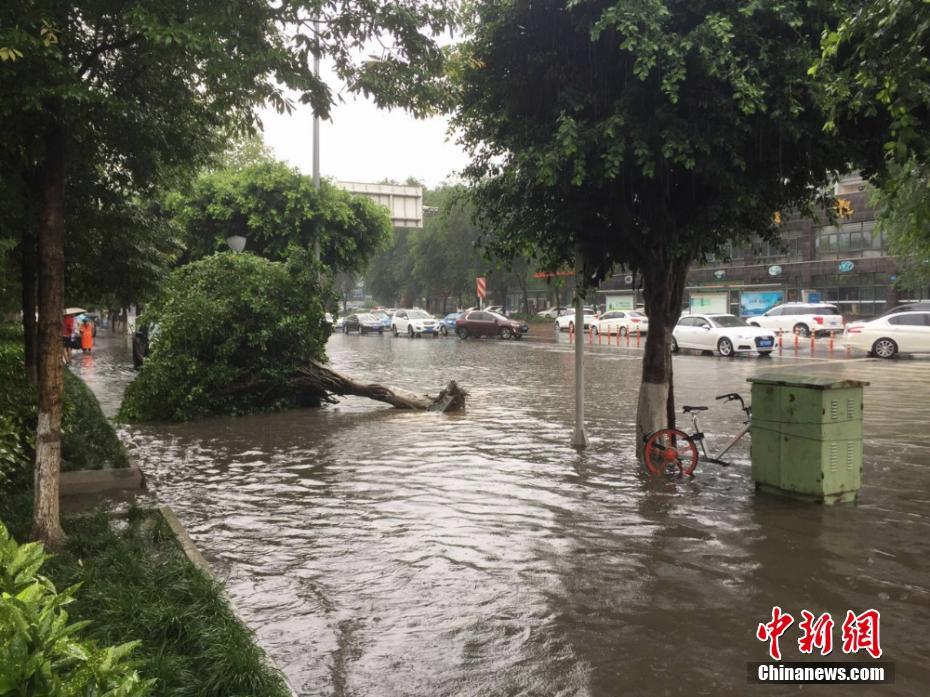 最新绵阳暴雨：灾情评估、防灾措施及未来挑战