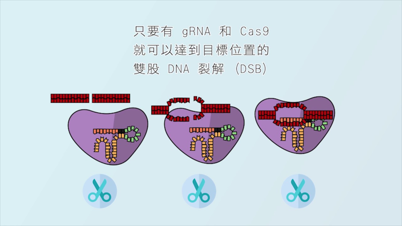 探秘加速最新的高：技术革新与未来展望