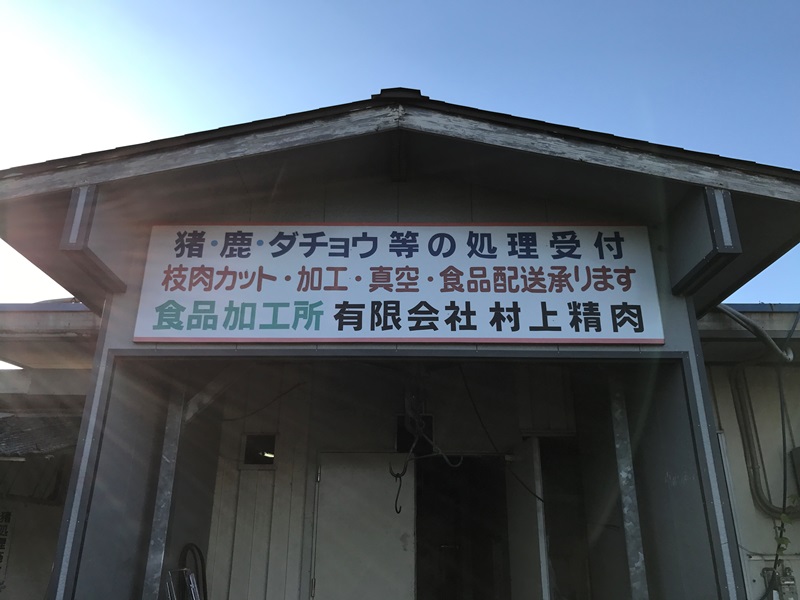 鞍省猪价今日最新消息：分析影响因素和市场趋势