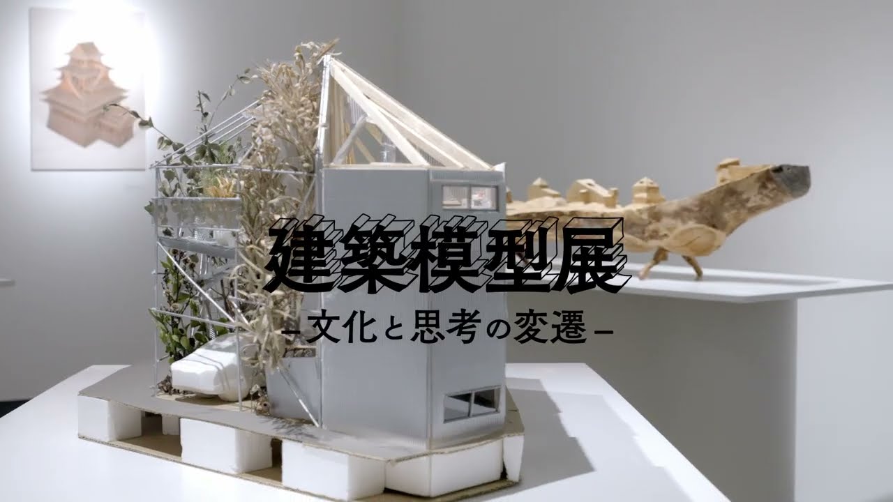 解码最新模型展：技术革新、市场趋势与未来展望