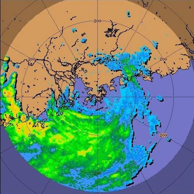 台风鹦鹉最新信息：路径预测、影响评估及防御措施详解