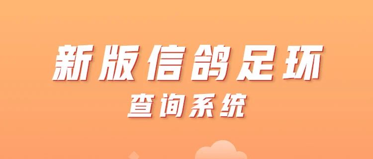 最新搜鸽网深度解析：信息获取、潜在风险与未来发展趋势