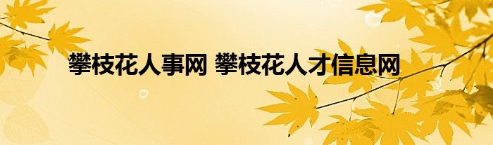 聚焦攀枝花最新新闻网：信息传播、社会影响及未来发展趋势探讨