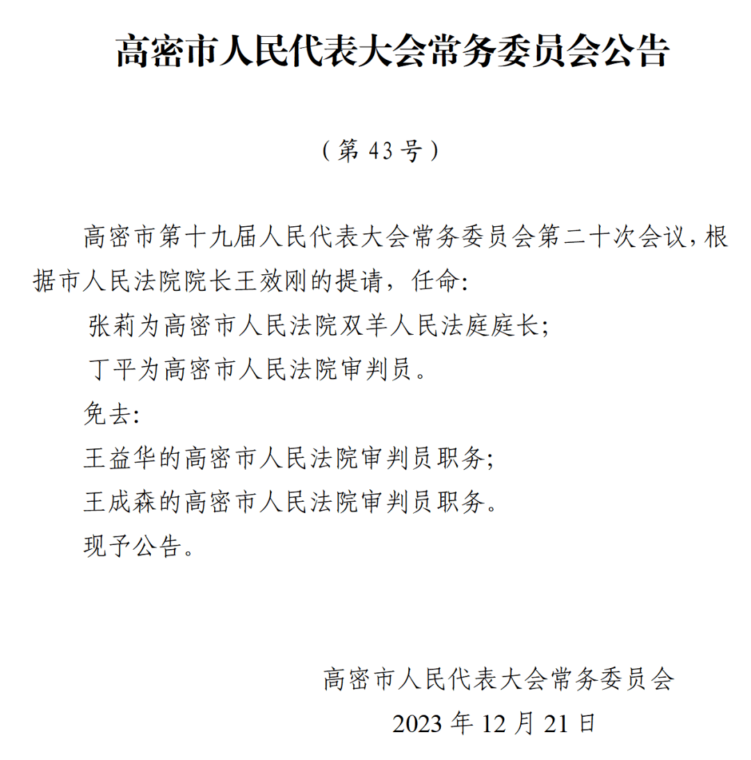 高密最新二：深度解析及未来发展趋势预测