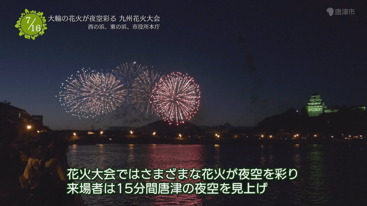 91最新唐：深度解析及未来发展趋势预测