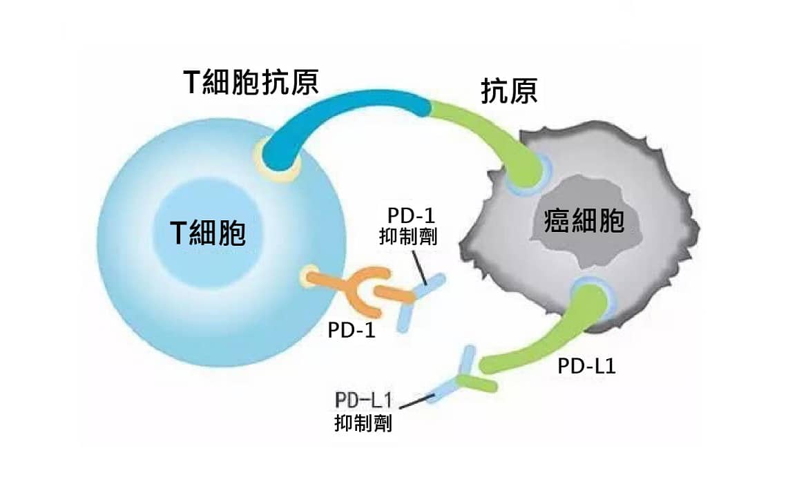 最新症状病毒：全面解析病毒感染的最新症状及应对策略