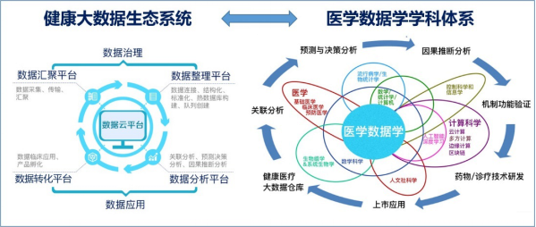 解码中国最新医学院：发展现状、未来趋势及挑战