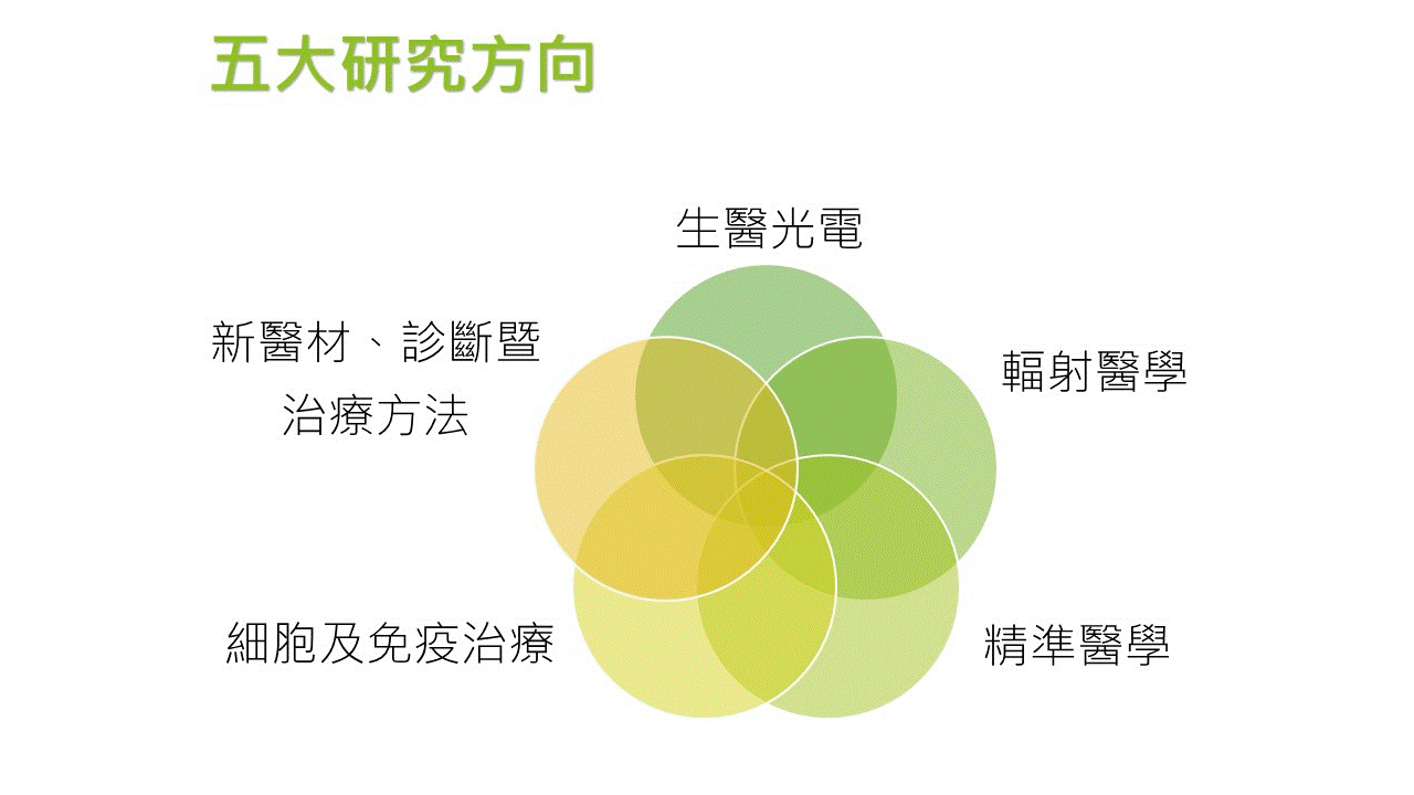 党涛江最新动态：深度解析其发展现状、未来趋势及潜在挑战