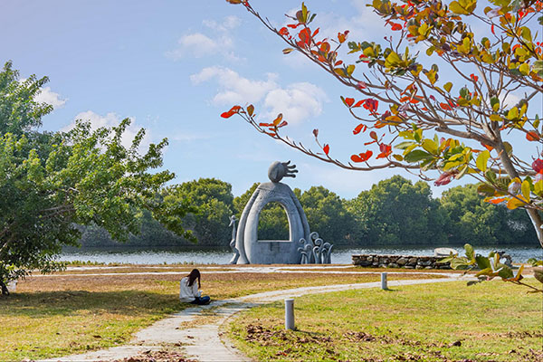 舒城湿地公园最新进展：环境优化与旅游开发的兴氏前景