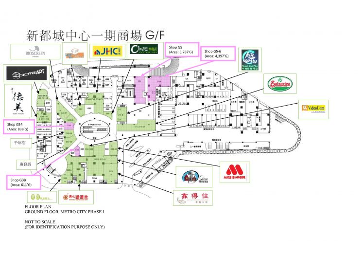 泗水城北新城最新项目深度解析：规划、配套、投资价值及未来展望