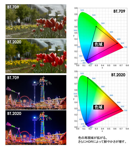 解码最新色彩格式：从技术革新到应用趋势全解析