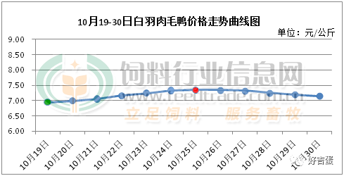 鸟最新鸟价详细分析：影响因素和未来趋势