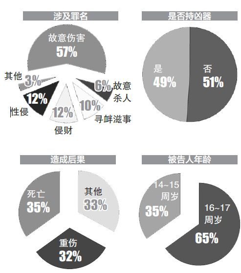 定边最新恶势力调查：深度剖析社会治安现状及未来挑战