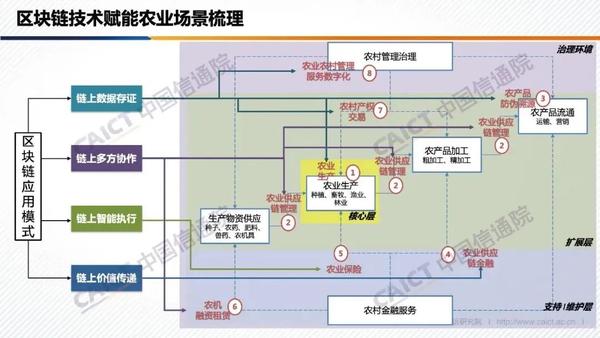 沃顿链最新动态：技术革新、应用前景及未来挑战深度解析