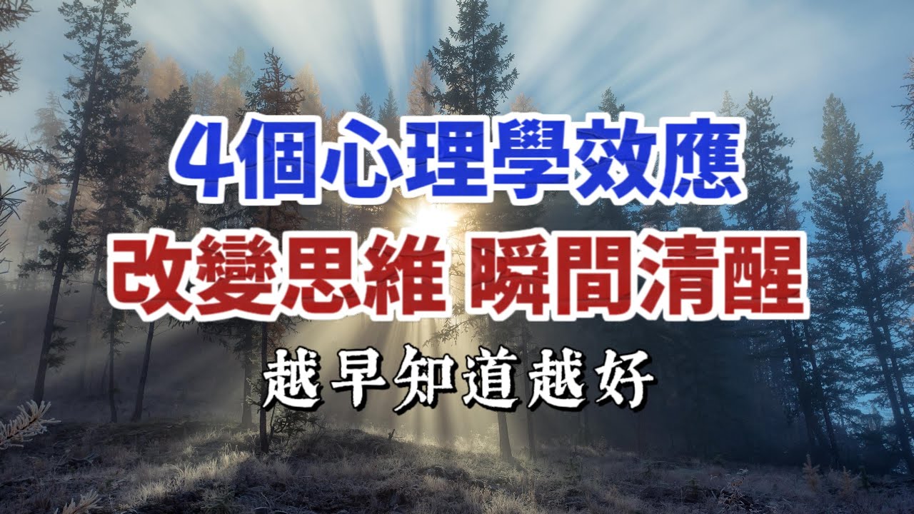 4级考前最新备考策略：高效冲刺技巧与高频考点解析