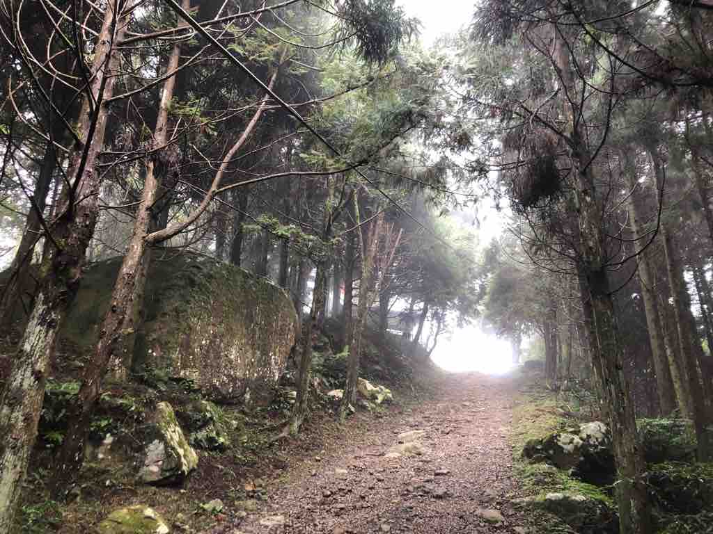 海南五指山房价最新走势分析：投资价值与潜在风险深度解读