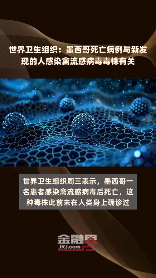 墨西哥疫情最新视频：深度解读疫情现状及未来走势