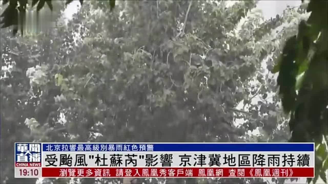 陆丰台风最新消息：风雨影响及灾后重建