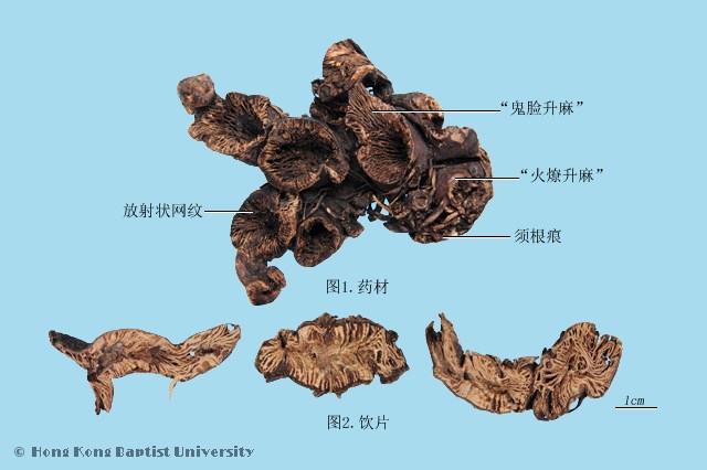 2024年最新苎麻机技术革新及市场应用前景分析：高效节能与智能化升级