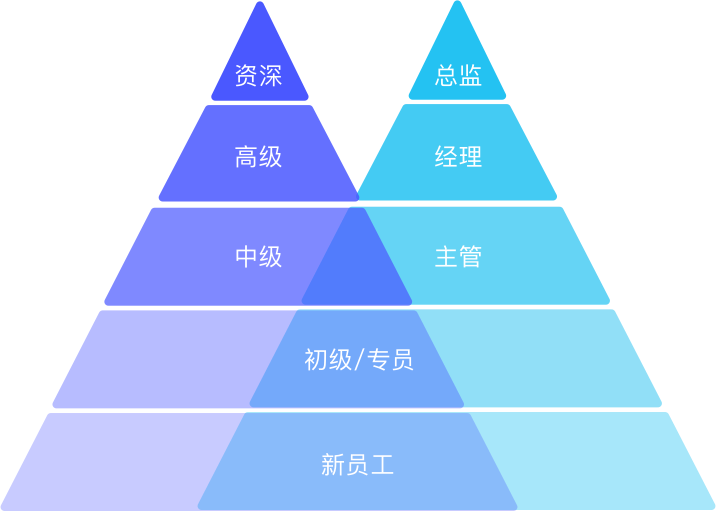 民办教育教师最新消息：政策解读、薪资待遇及职业发展趋势分析