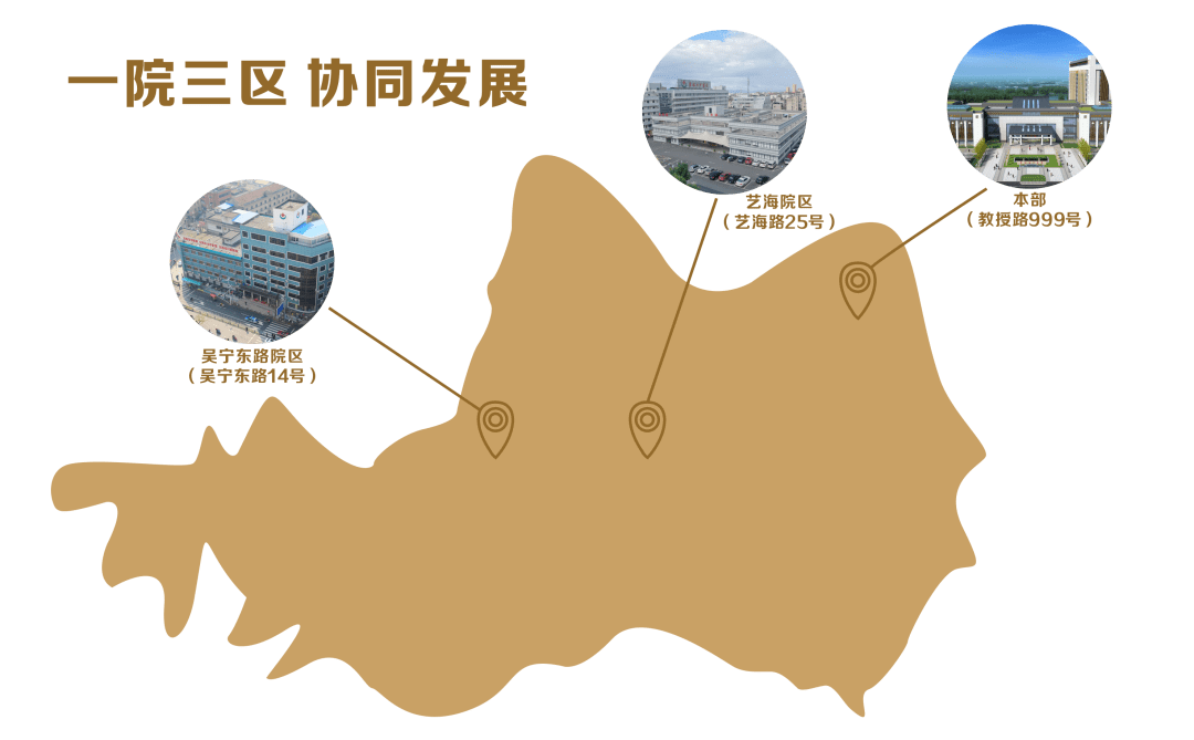 东阳最新肺炎疫情通报：防控措施及社会影响分析