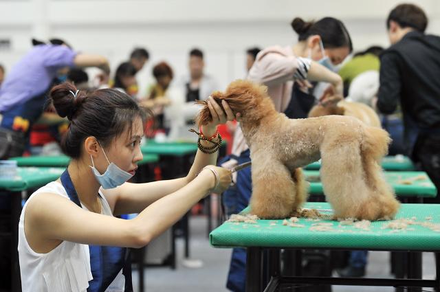 古牧犬最新资讯：品种现状、饲养技巧及未来发展趋势