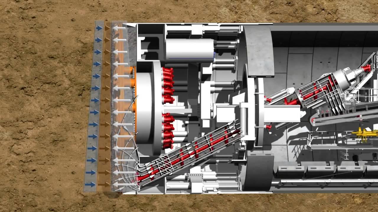 深度解析最新双鸟盾：技术革新、市场前景及潜在风险