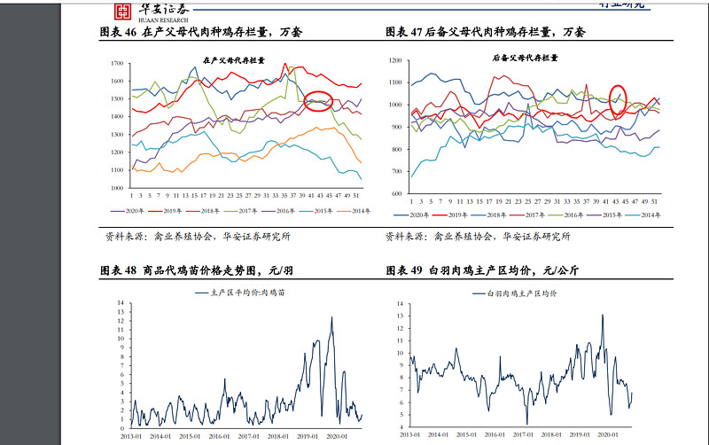 鸡里奥最新动态：全面解析其技术革新、市场前景及潜在挑战