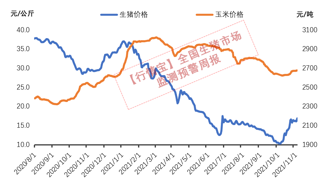 最新猪价12解读：市场波动背后的原因及未来走势预测