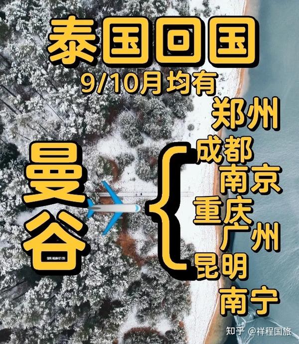 回国航班最新信息：政策调整、机票价格及未来趋势深度解读