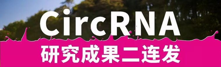 西农新校长最新消息：任命背景、未来规划及对学校发展的影响