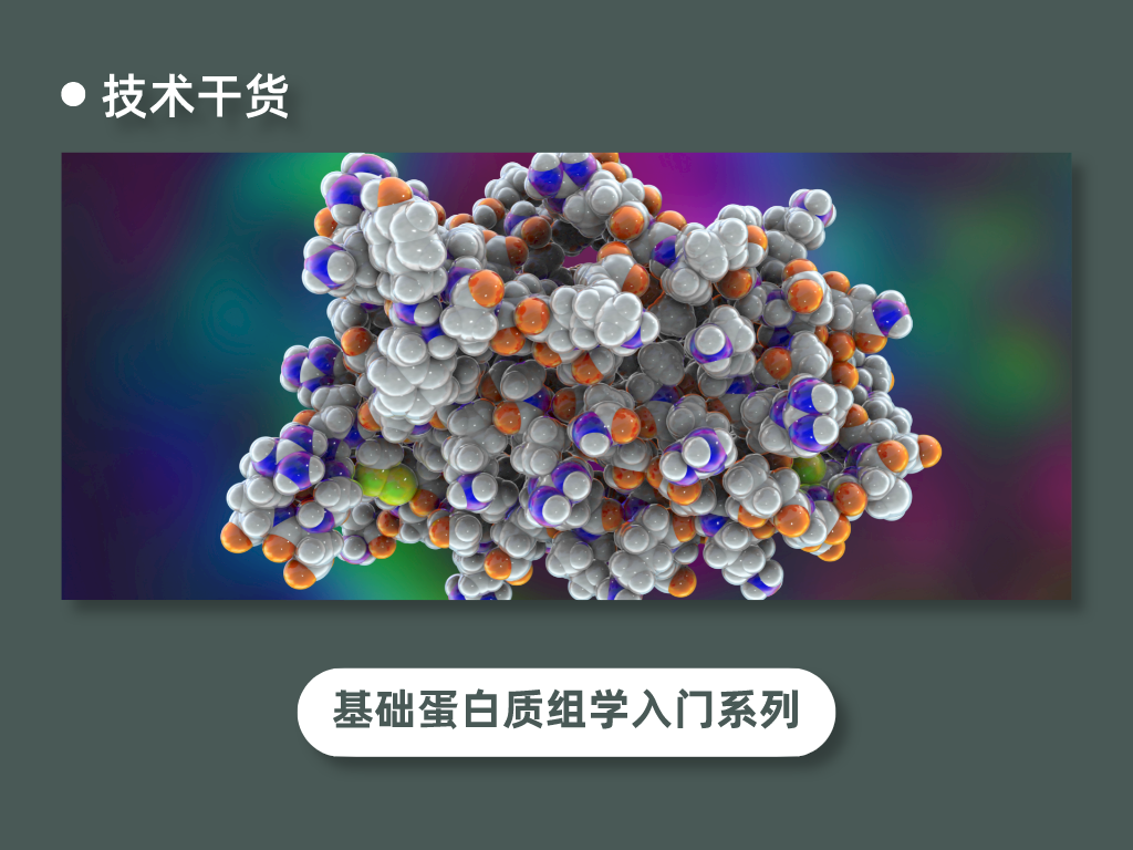 权威解读：徐耀元上将最新消息及对国防现代化的深远影响