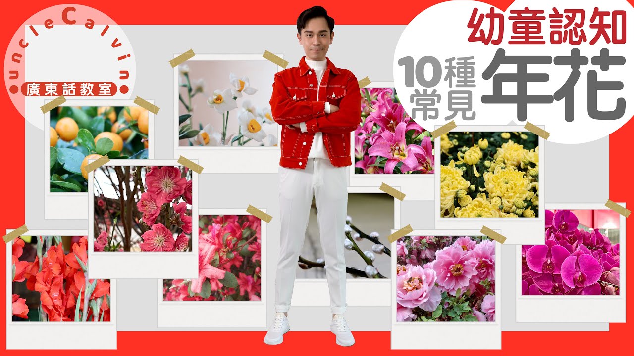 2024最新年花品种推荐及市场趋势分析：迎春花、桃花、水仙花等热门年花大比拼