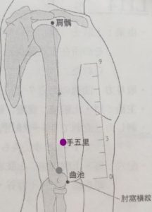 2024最新五花手链时尚潮流盘点：材质、设计与搭配指南