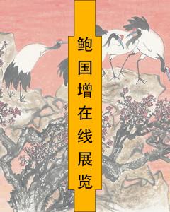 鲍沟人大最新动态：代表履职、民生关注及未来展望