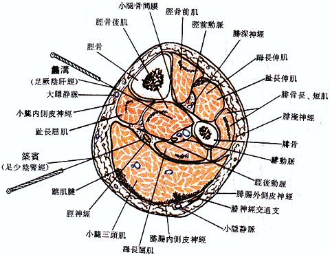 蠡县招工最新信息：岗位需求、薪资待遇及未来趋势全解析