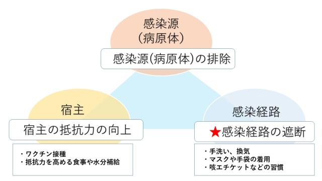 探秘最新病毒起因：病毒溯源、传播途径及未来挑战