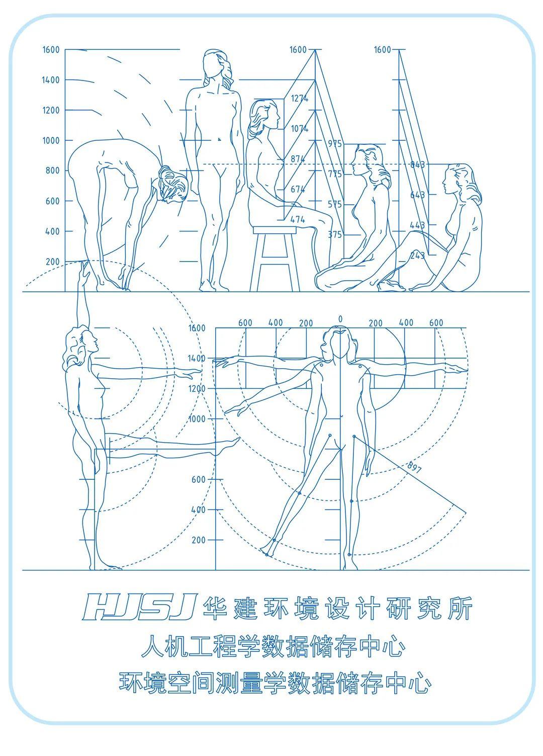 色老人最新动态：深入解读其发展现状、潜在风险与未来趋势