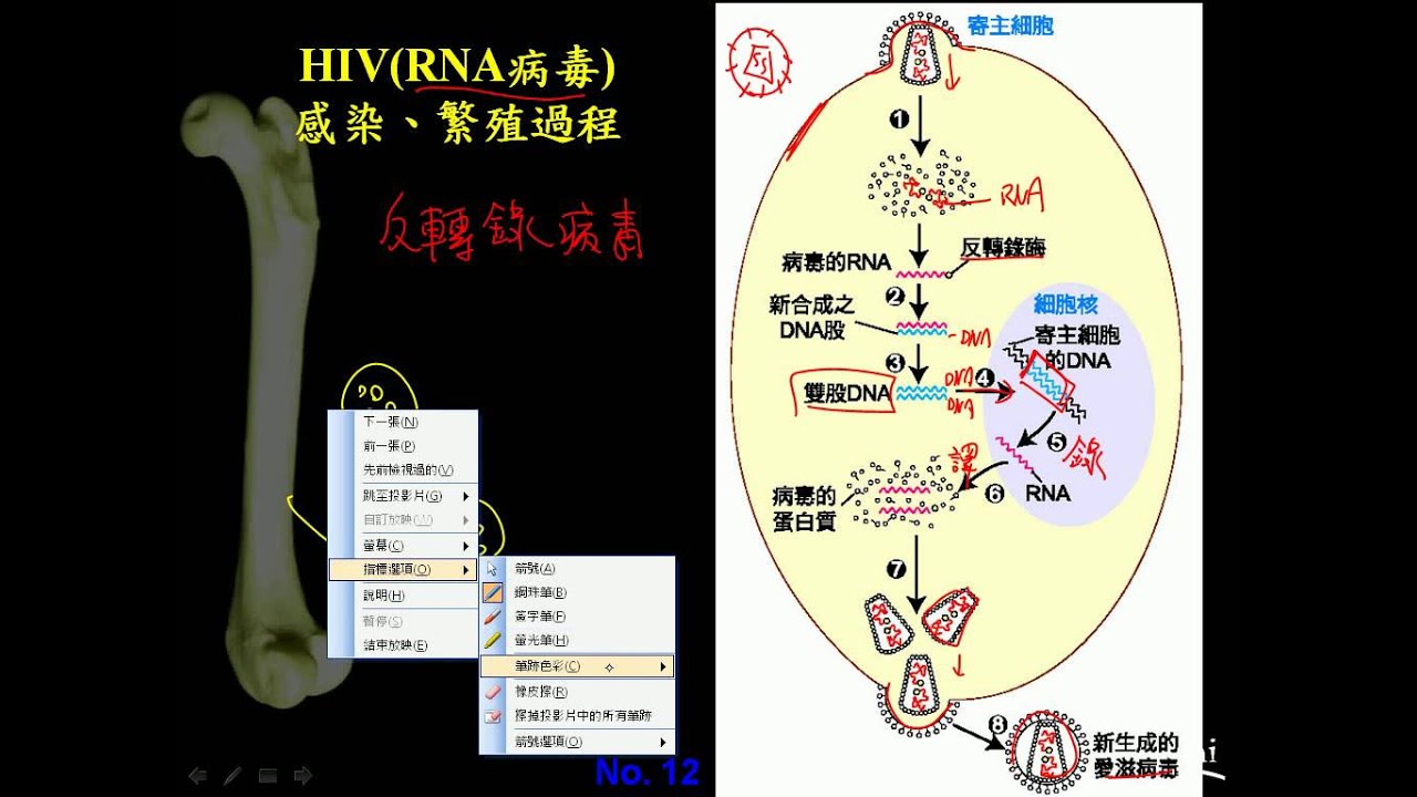 7号最新病例深度解析：疫情防控新挑战与应对策略