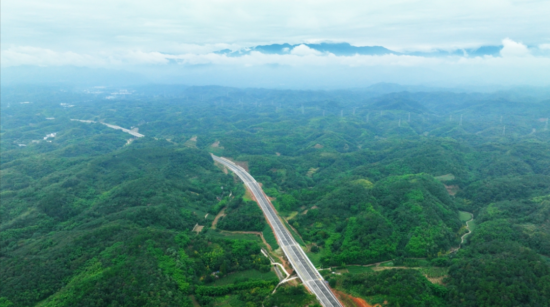 光武镇最新道路规划：交通网络升级与未来发展展望