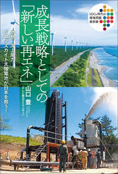 沈阳宝能最新进展：项目现状、未来规划及潜在风险深度解析