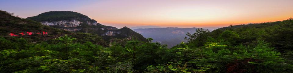 重庆最新赏花指南：赏花地图、最佳时间及花卉品种推荐