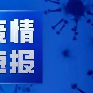 娄底新世界最新消息：发展动态、未来规划及潜在挑战深度解析