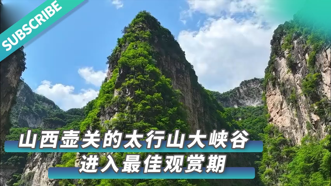 太行山峡松最新消息：市场趋势分析以及保值和风险的实际调查