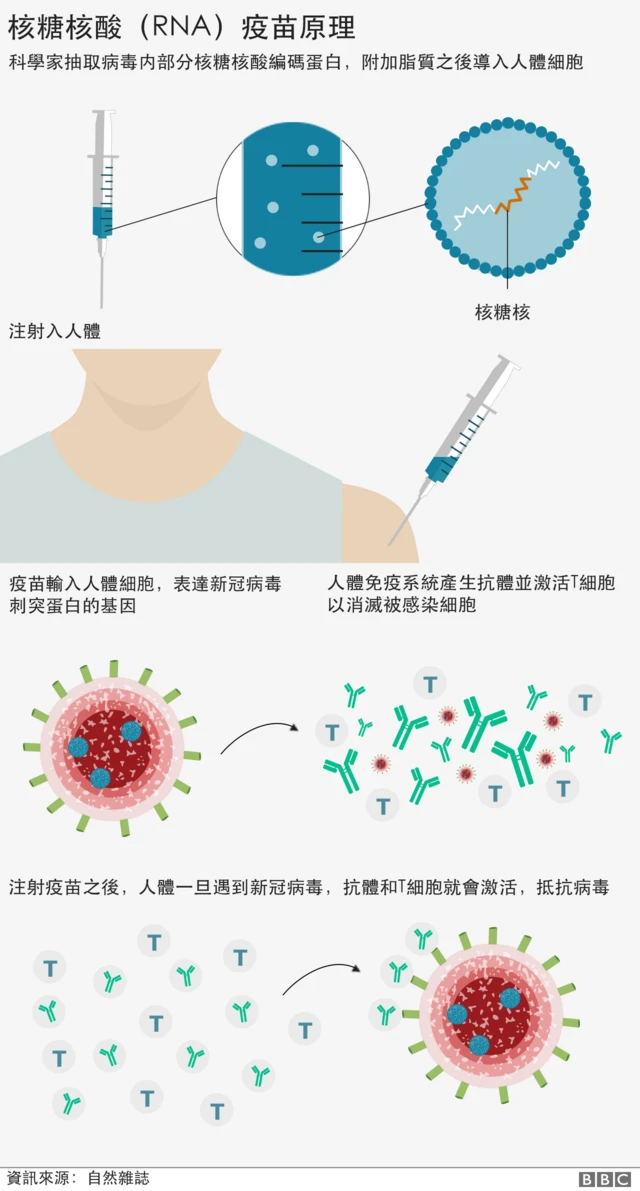 最新垒耳农疫苗的研发进展与中国市场观念