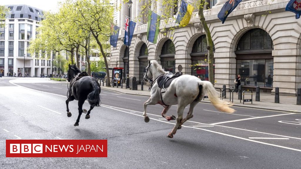 最新馬流感的年度调查：防治手法、经济影响和未来趋势的分析