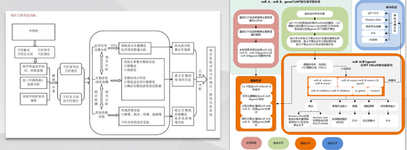 纪罗兰最新色观察：风格设计、色彩表现及小级的创新