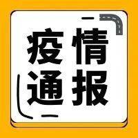 金寨最新疫情通报：实时动态追踪与风险研判