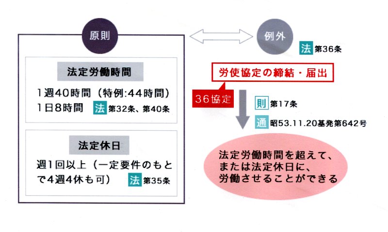 最新聚会判罚深度解读：从案例分析到未来趋势预测